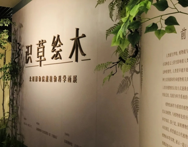 抓住暑假的尾巴，帶孩子感受博物館藝術(shù)的“光合作用”！