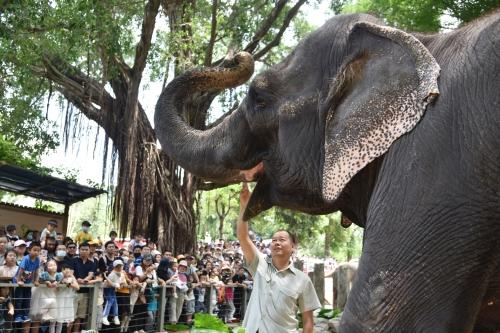 五一假期首日，深圳野生動(dòng)物園動(dòng)物科普講解吸引游客